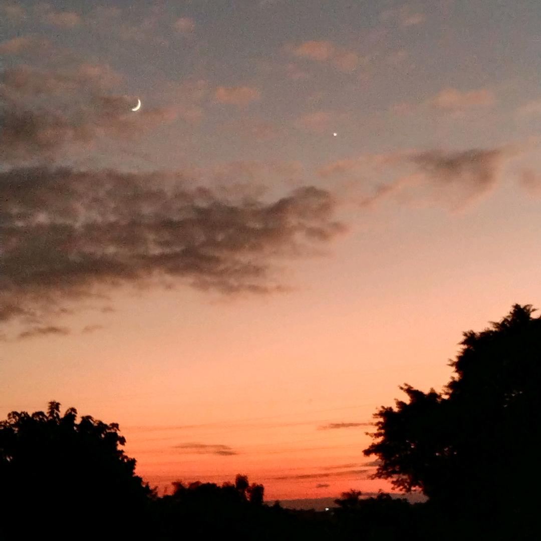 ╰(*°自渡°*)╯