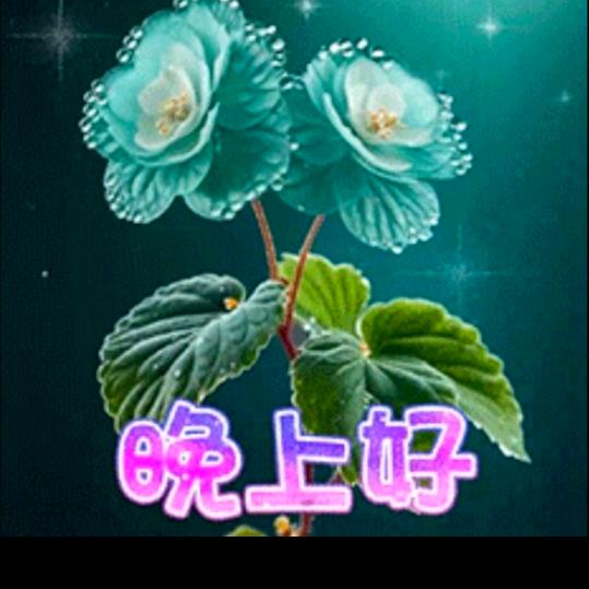 小🫶宝