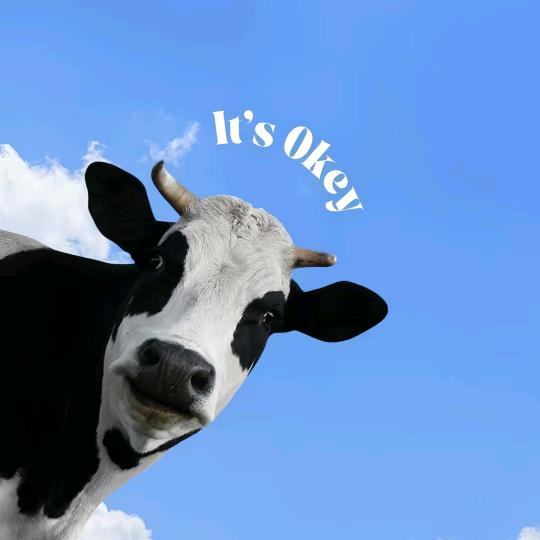 蒙牛重庆冠胜泉仓川渝1号