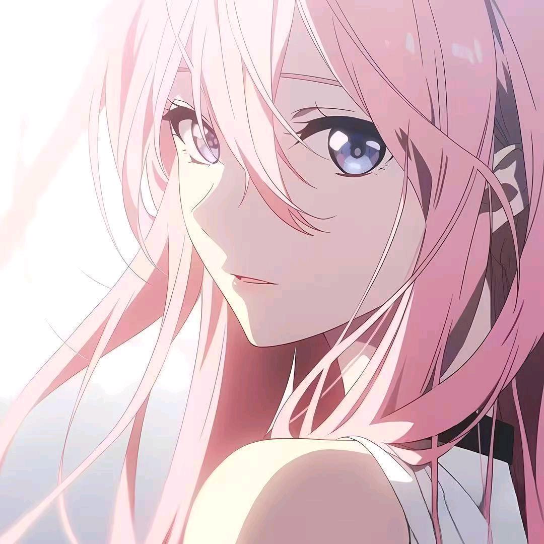 菜菜