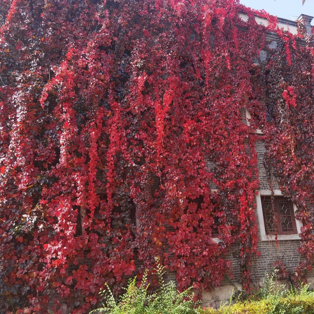 哎呦๑•́₃•̀๑