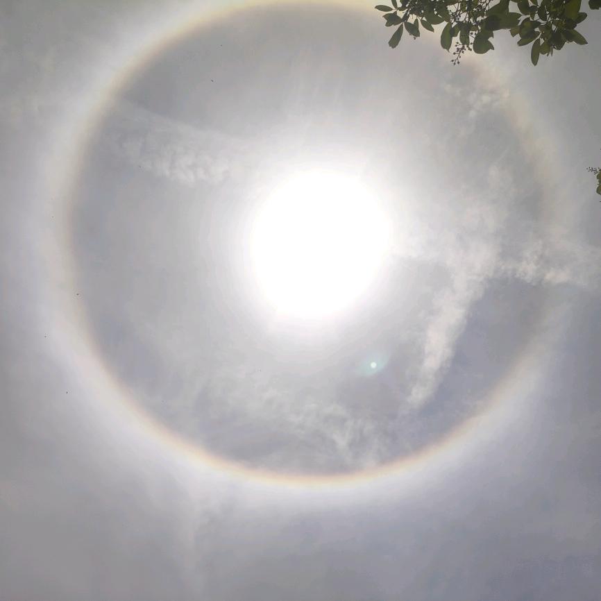 ღ᭄ꦿ꯭过期ঞৣঁ的糖প᭄᪲