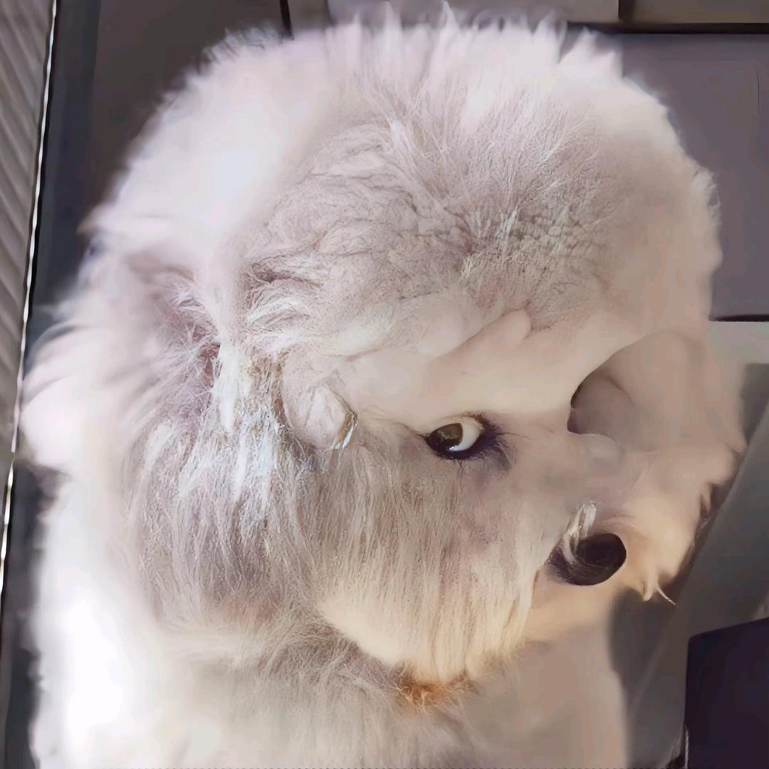 小树林里吃过亏～