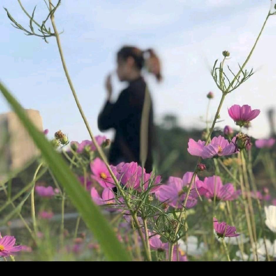 菱形💠