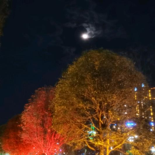 风过留痕