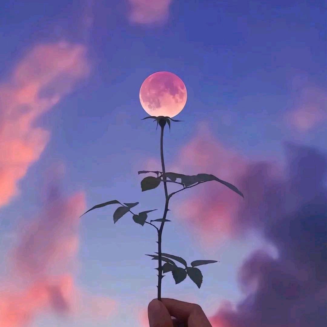 🫧安徒生的🧸🧸ྀི