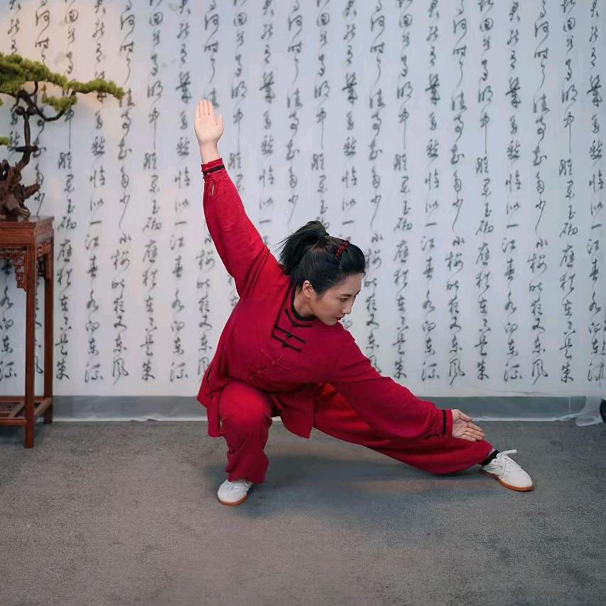 徒手绝技道医传承（收徒）