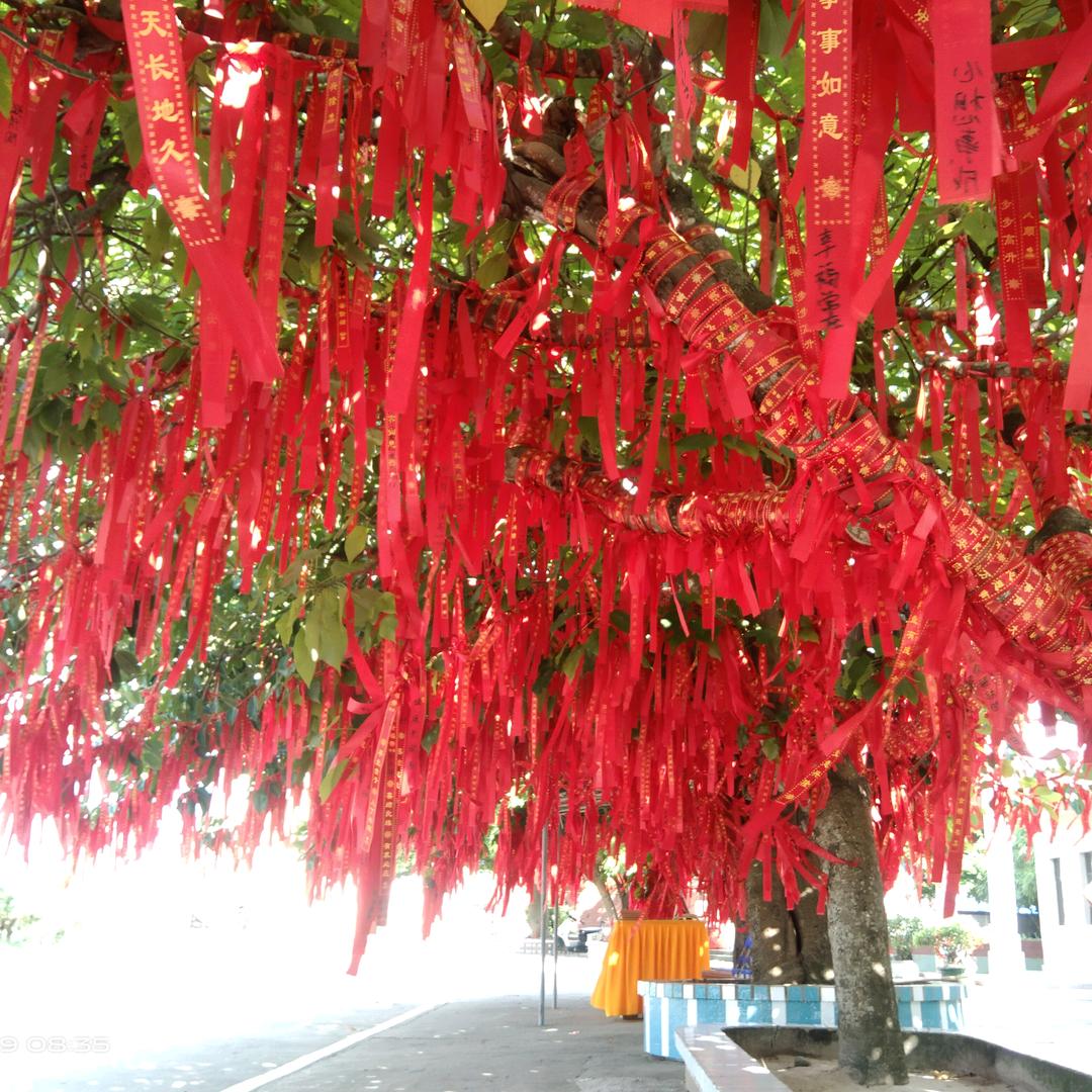 开心天天有你