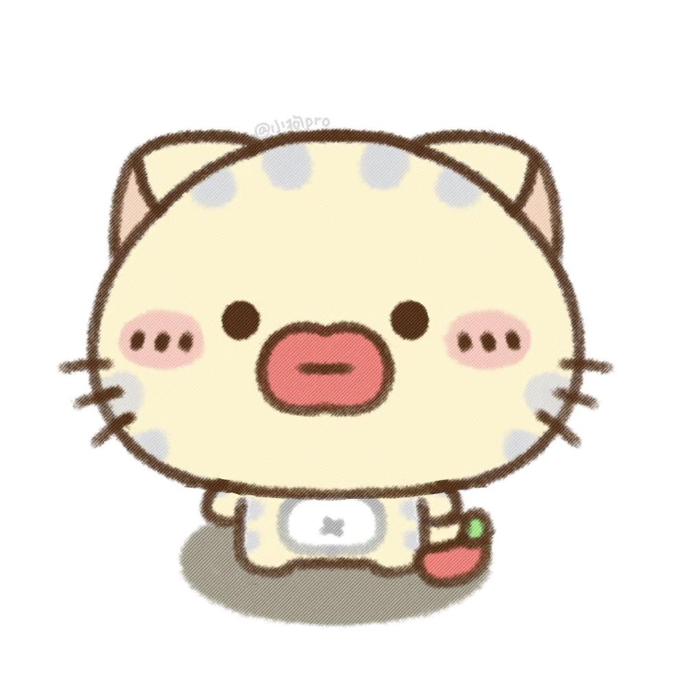 土耳其正宗小猫