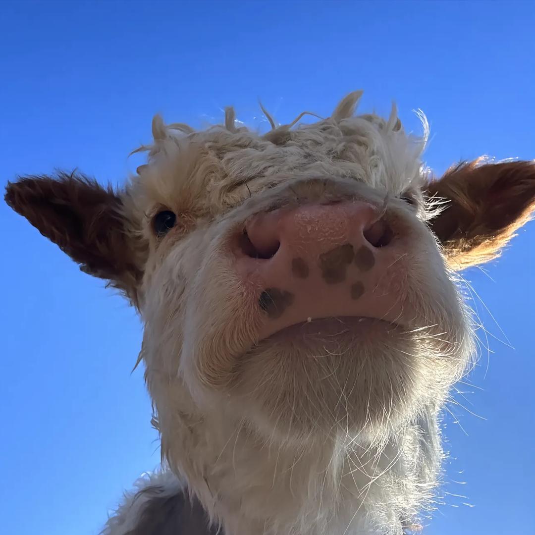 @一碗乡愁螺蛳粉@