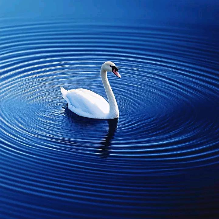 (❁´◡`❁)*✲ﾟ*