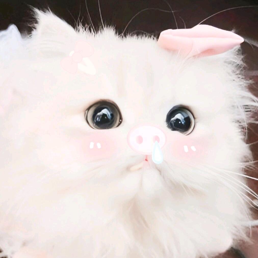 炸鸡
