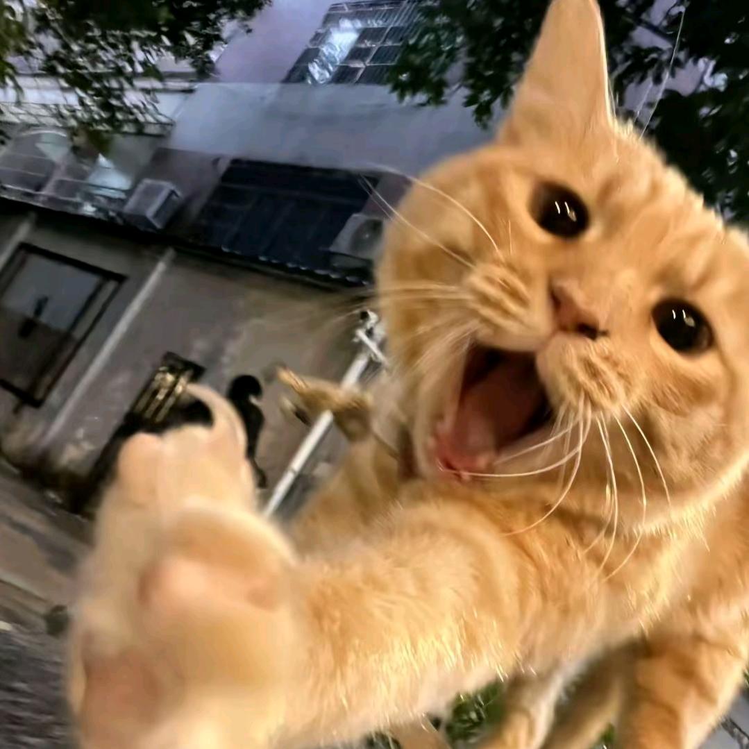 🌈jackerman　　　　  🤠