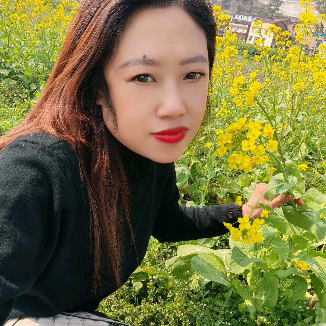 好运连连