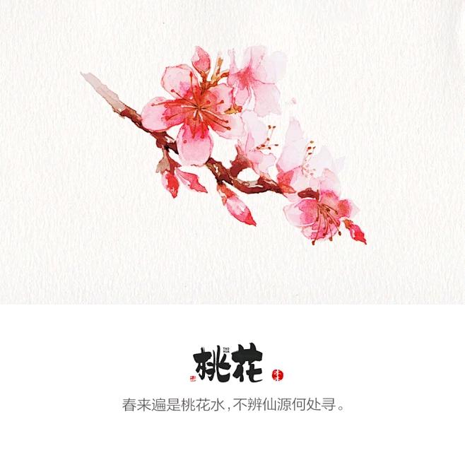 桃花财经