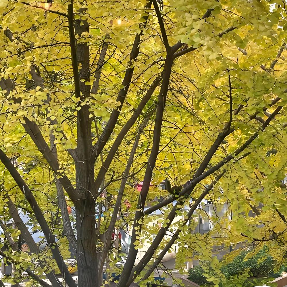 人生@