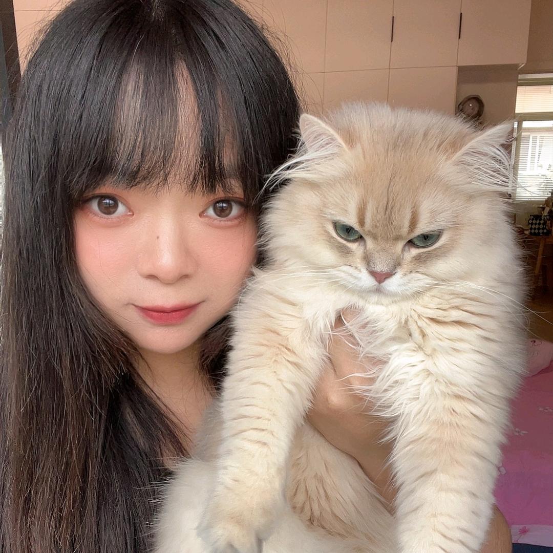 葡萄养猫日记丶
