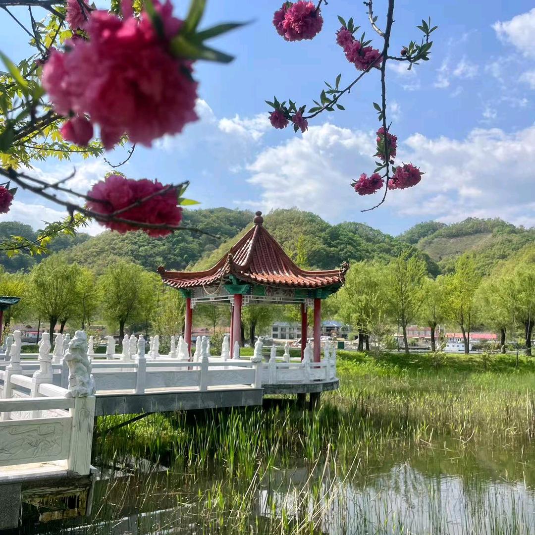 丹东河口景区直播售票