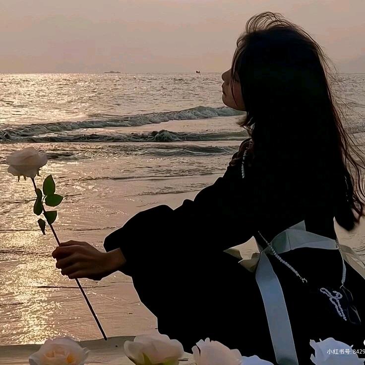 风吃掉了月亮🍀