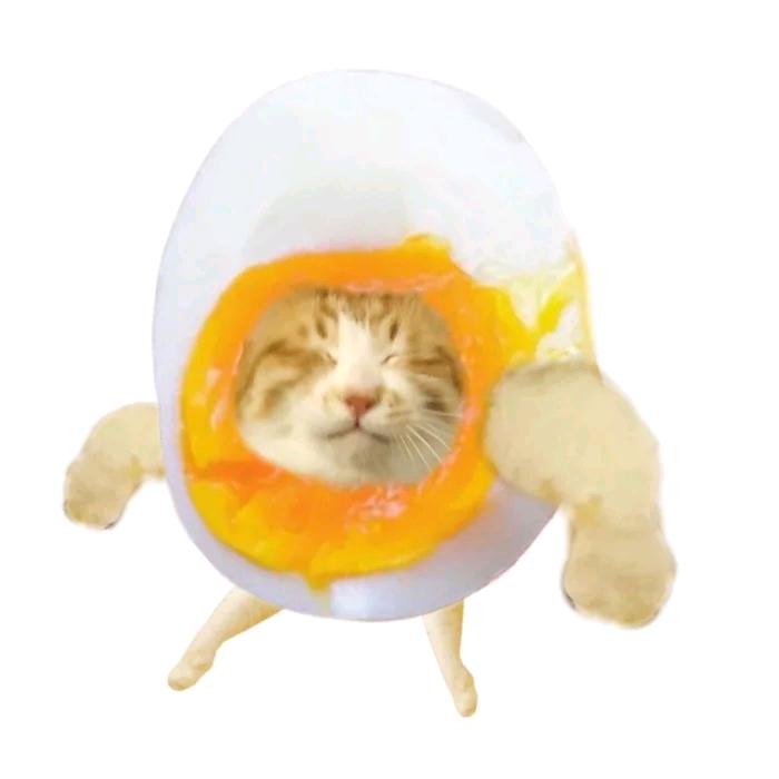 碇唯