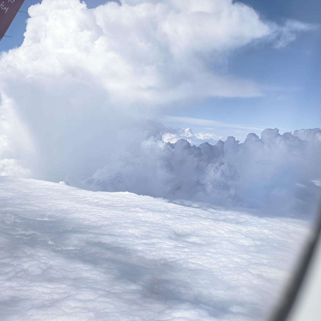 人生无常大肠包小肠