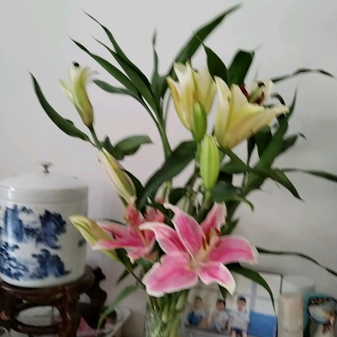 铿锵玫瑰～.