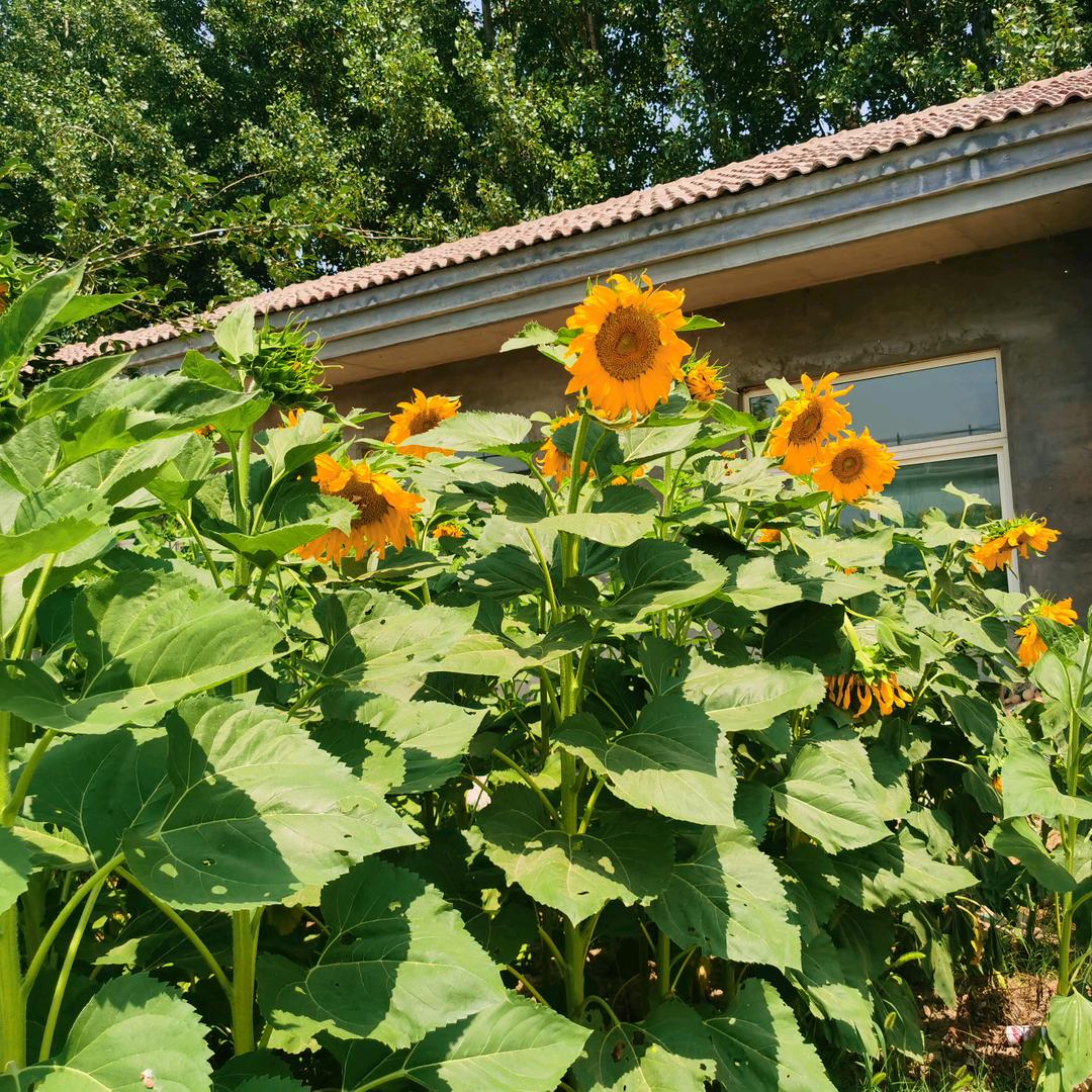 优路优品创意生活坊