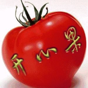 阳