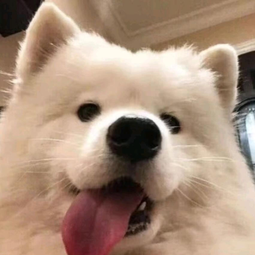 爱吃荔枝