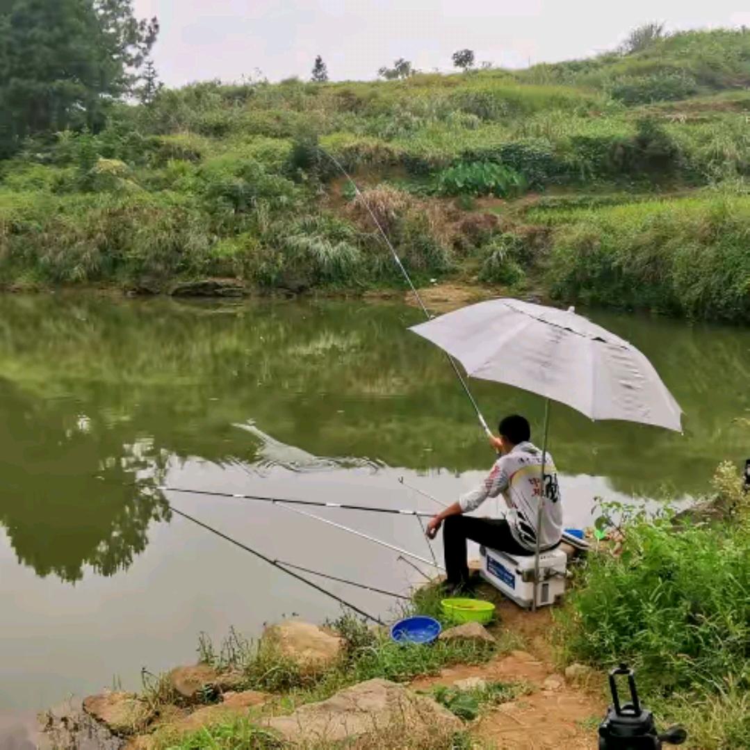 老张钓友圈---宝鸡
