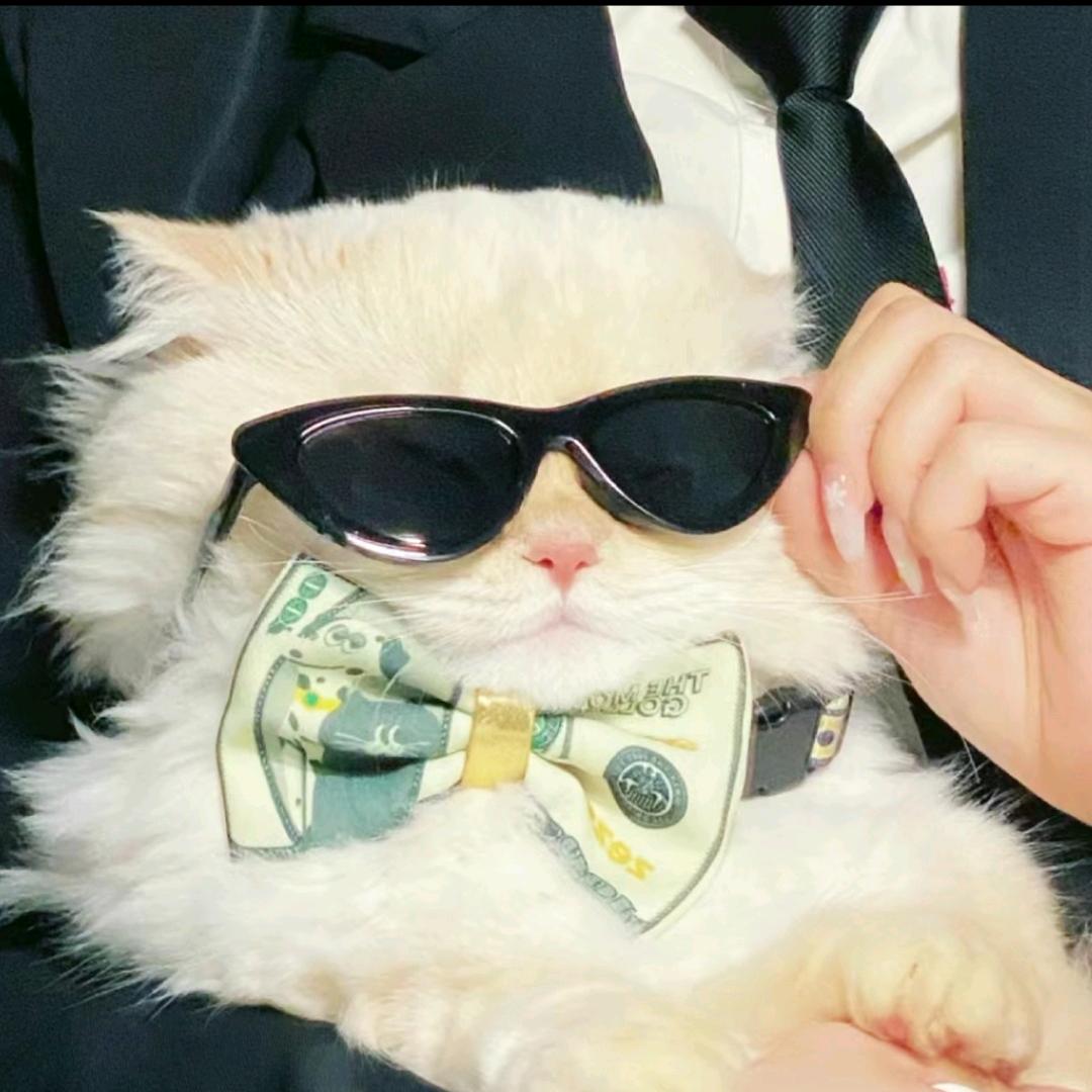 小福猫