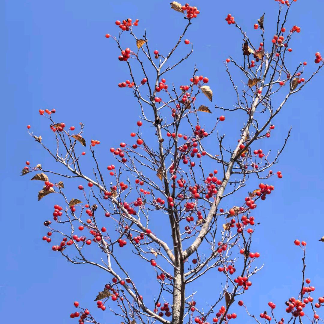 现云鲲装饰原鲁公大宅装饰公司受害者