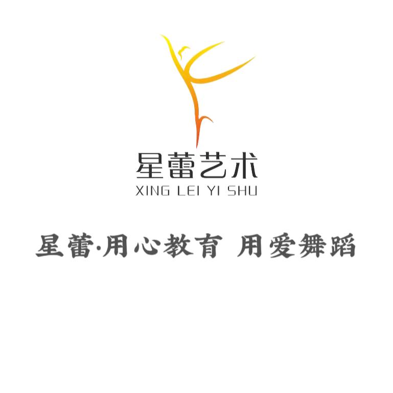 星蕾艺术张老师