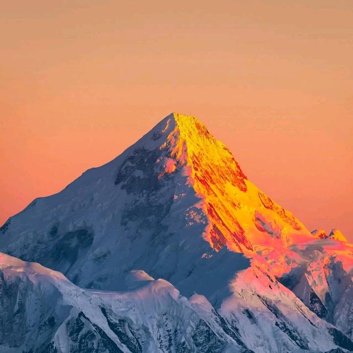 杨二红家的红薯粉条