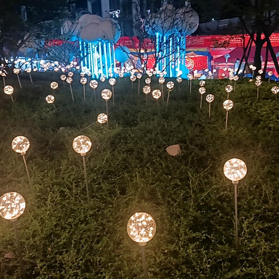 春天的花朵