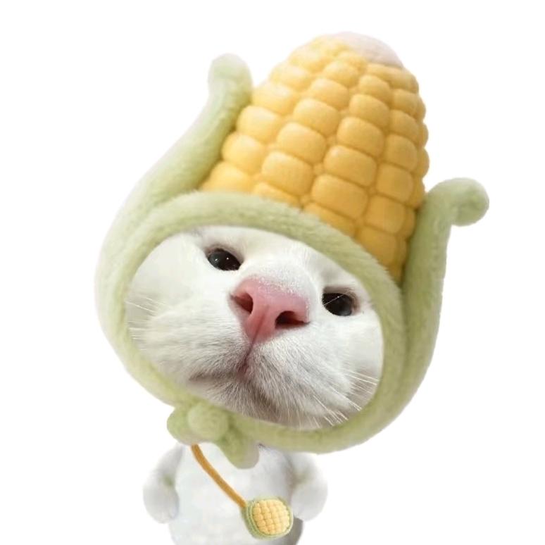 玉米绘故事
