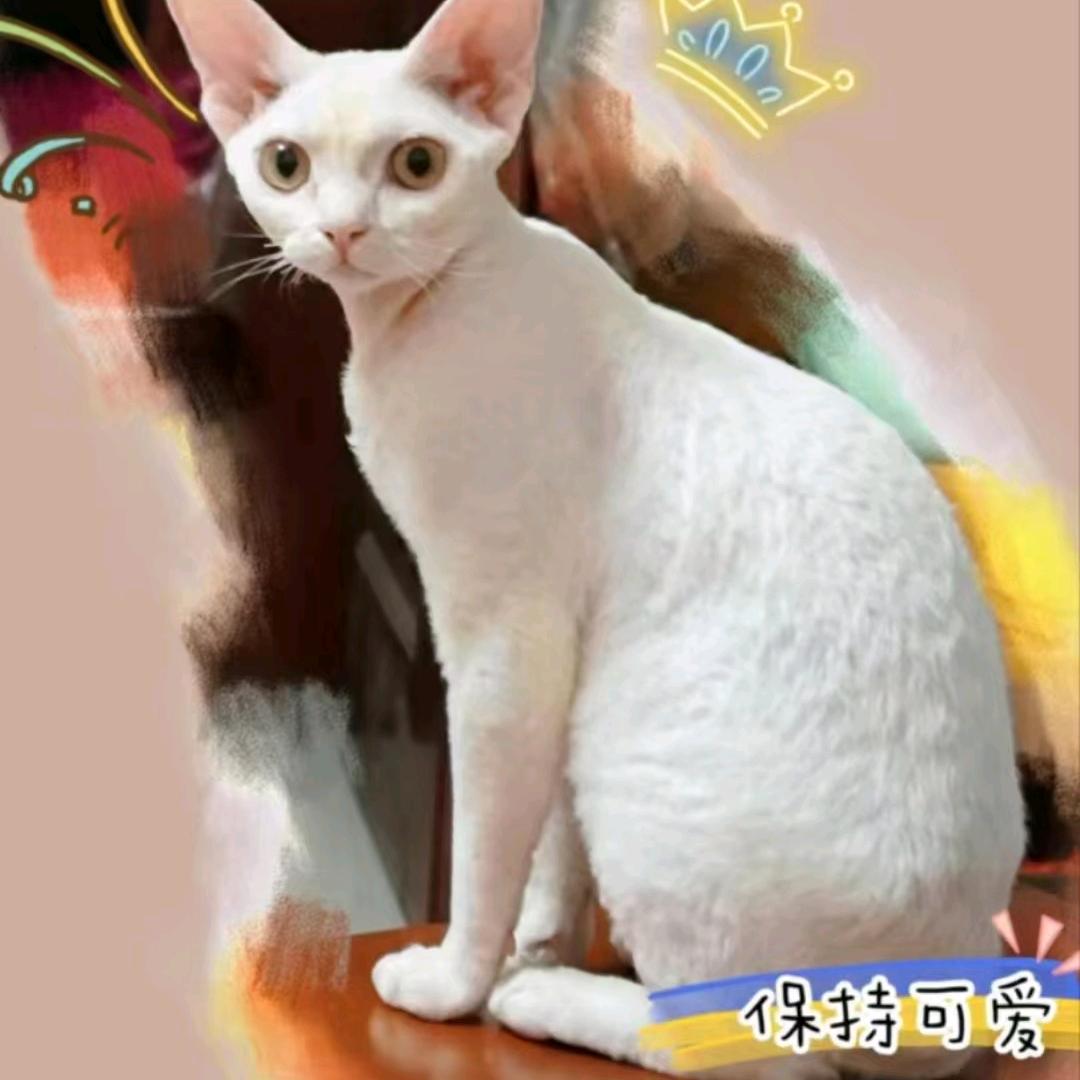一笑而过
