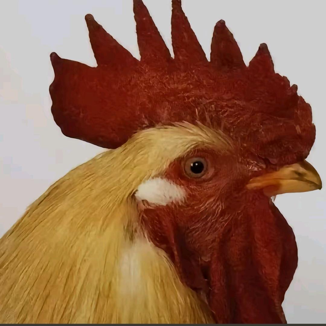 童话.
