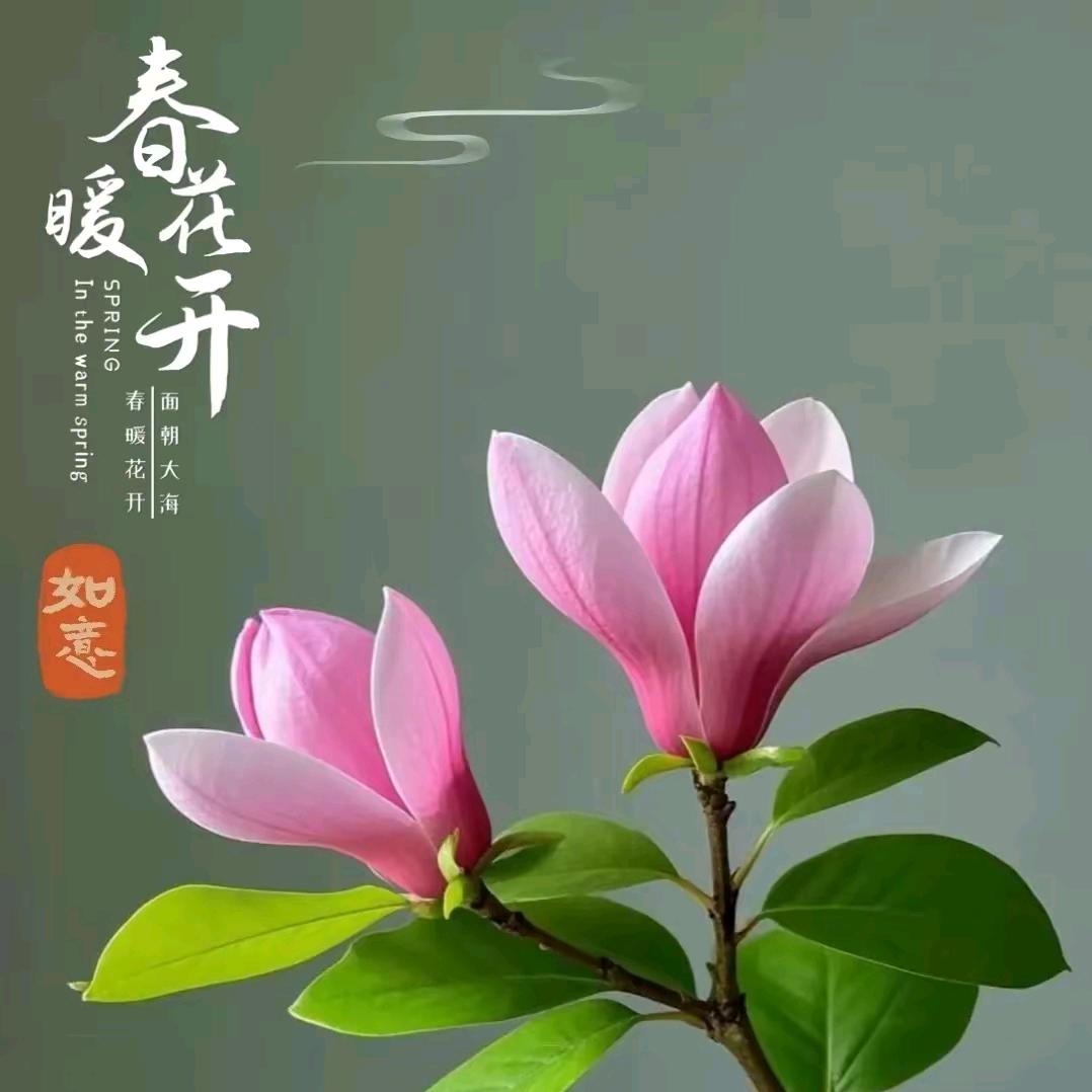 《祝余》