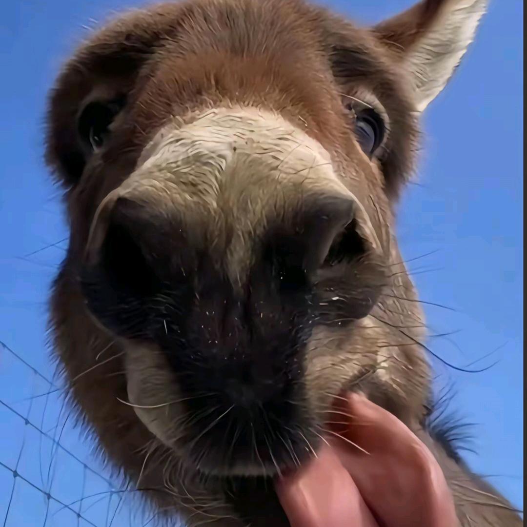 星期日不上发条⚠️