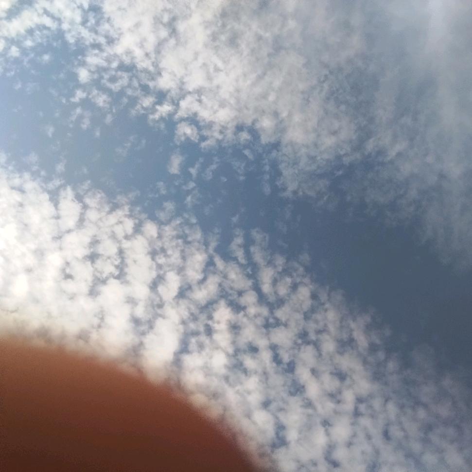 🌸((☀️⥎☀️))🌸