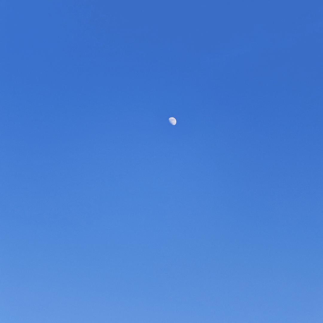 时爷