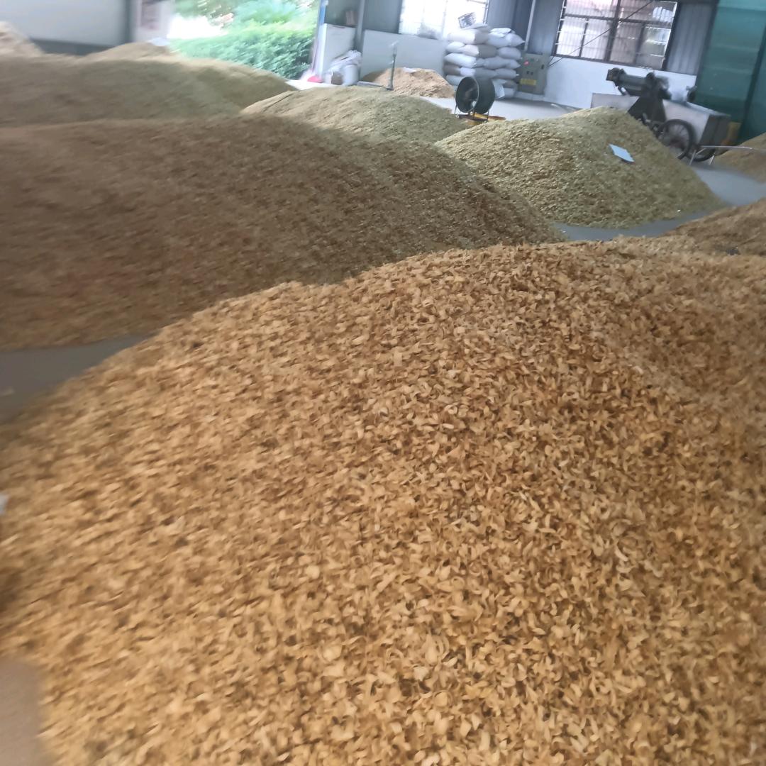 龙牙百合种植基地