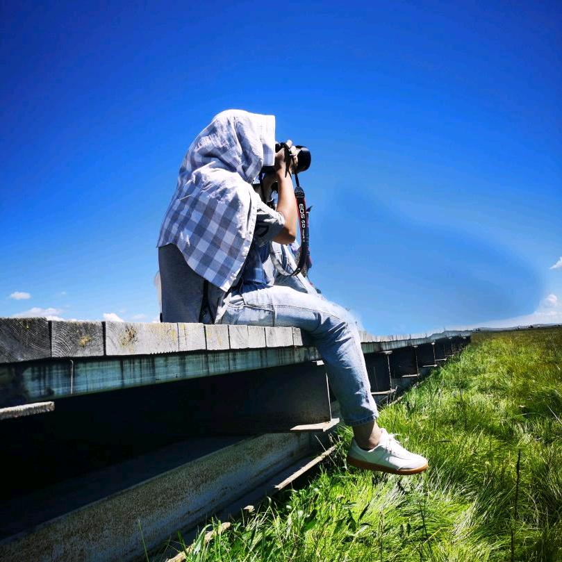 看不穿、繁花满世