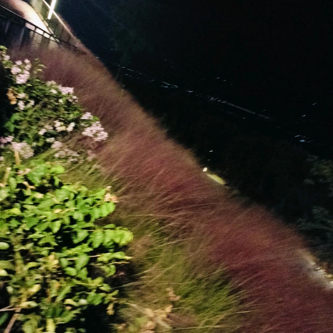 堼孞