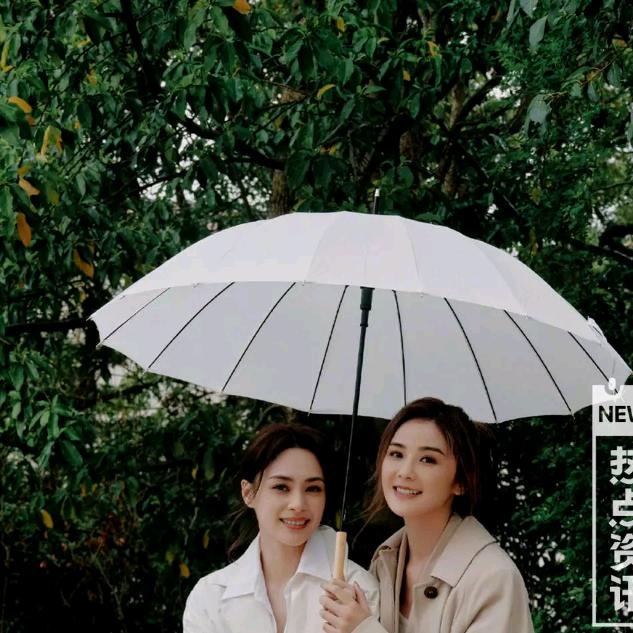从不认输