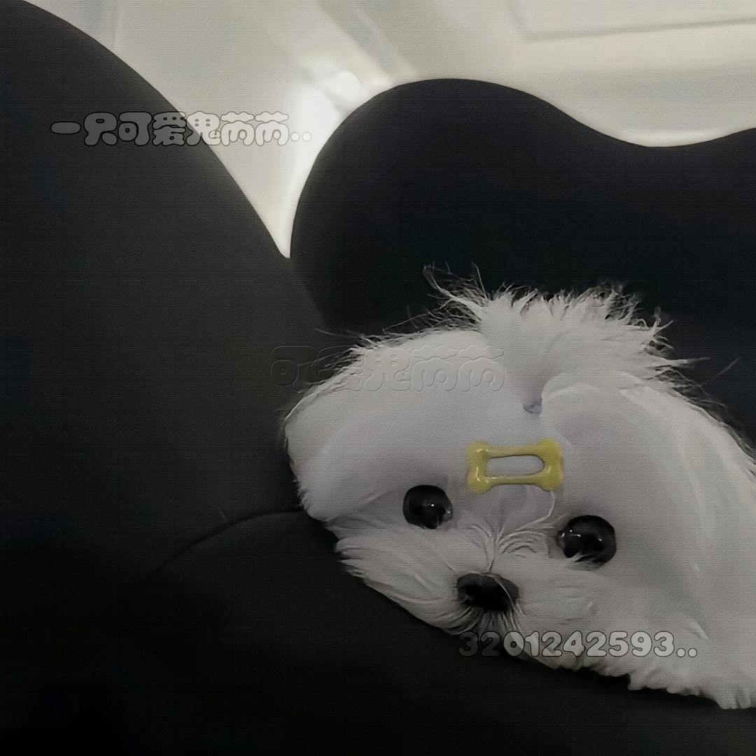 我就爱玩和平精英