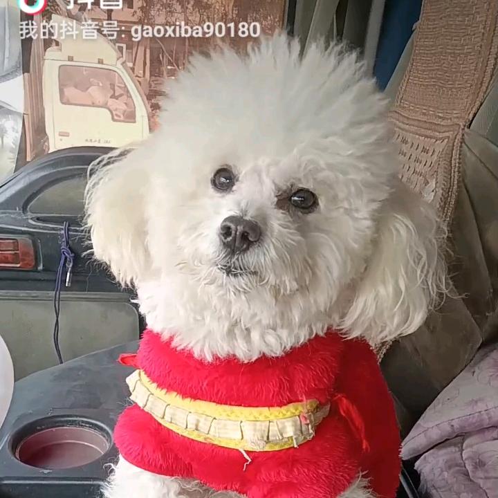 -见你就笑