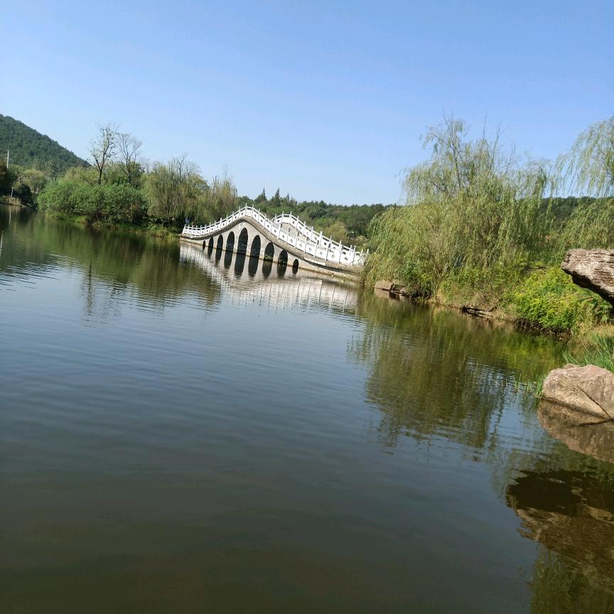 🌺相见不如怀念🌺