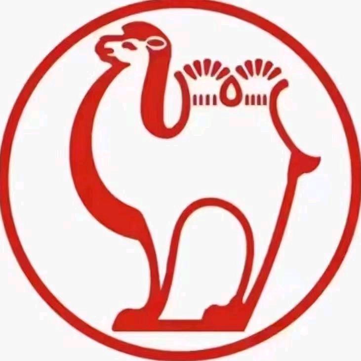 渑池骆驼蓄电池优店